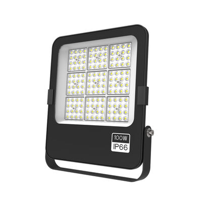 100W LED ফ্লাড লাইট IP66