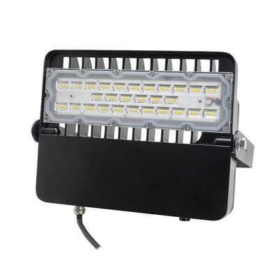 উচ্চ দক্ষতা বহিরঙ্গন LED ফ্লাডলাইট 100W 48V DC